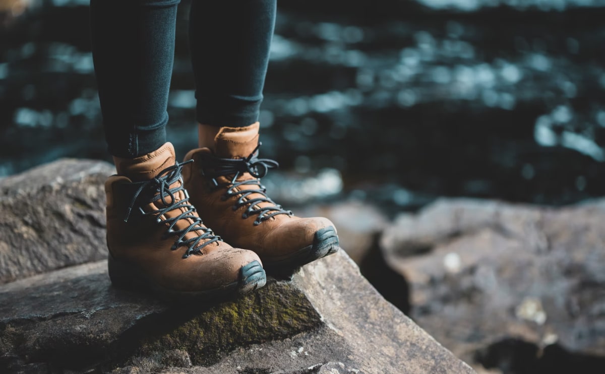 Nulla auctor faucibus